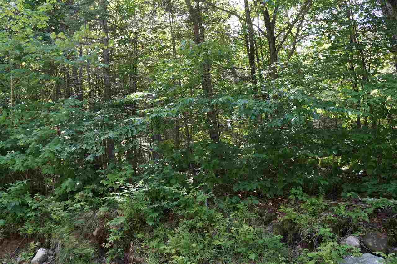 302 Heath Brook Road Groton, VT 05046 - Photo 10 of 13 Gallery Image 10