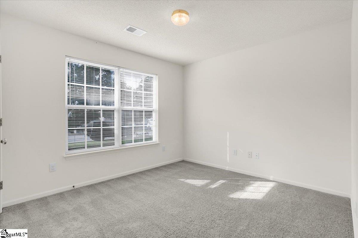 2013 Small Meadows Court Fountain Inn, SC 29644 - Photo 11 of 42 Gallery Image 11