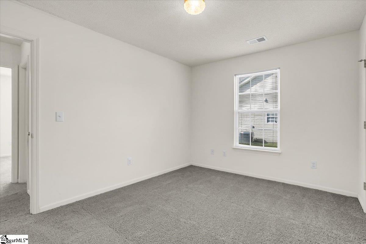 2013 Small Meadows Court Fountain Inn, SC 29644 - Photo 13 of 42 Gallery Image 13