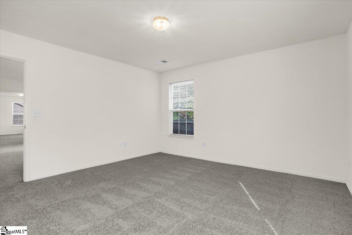 2013 Small Meadows Court Fountain Inn, SC 29644 - Photo 30 of 42 Gallery Image 30