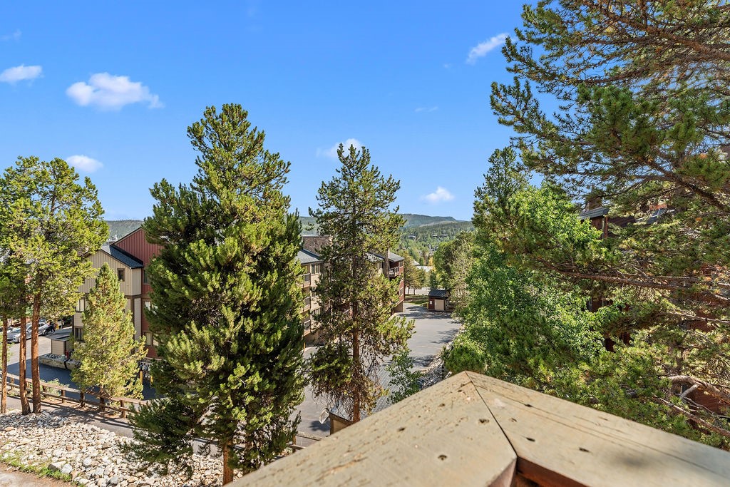 405 4 O Clock Road, Unit F Breckenridge, CO 80424 - Photo 23 of 40 Gallery Image 23