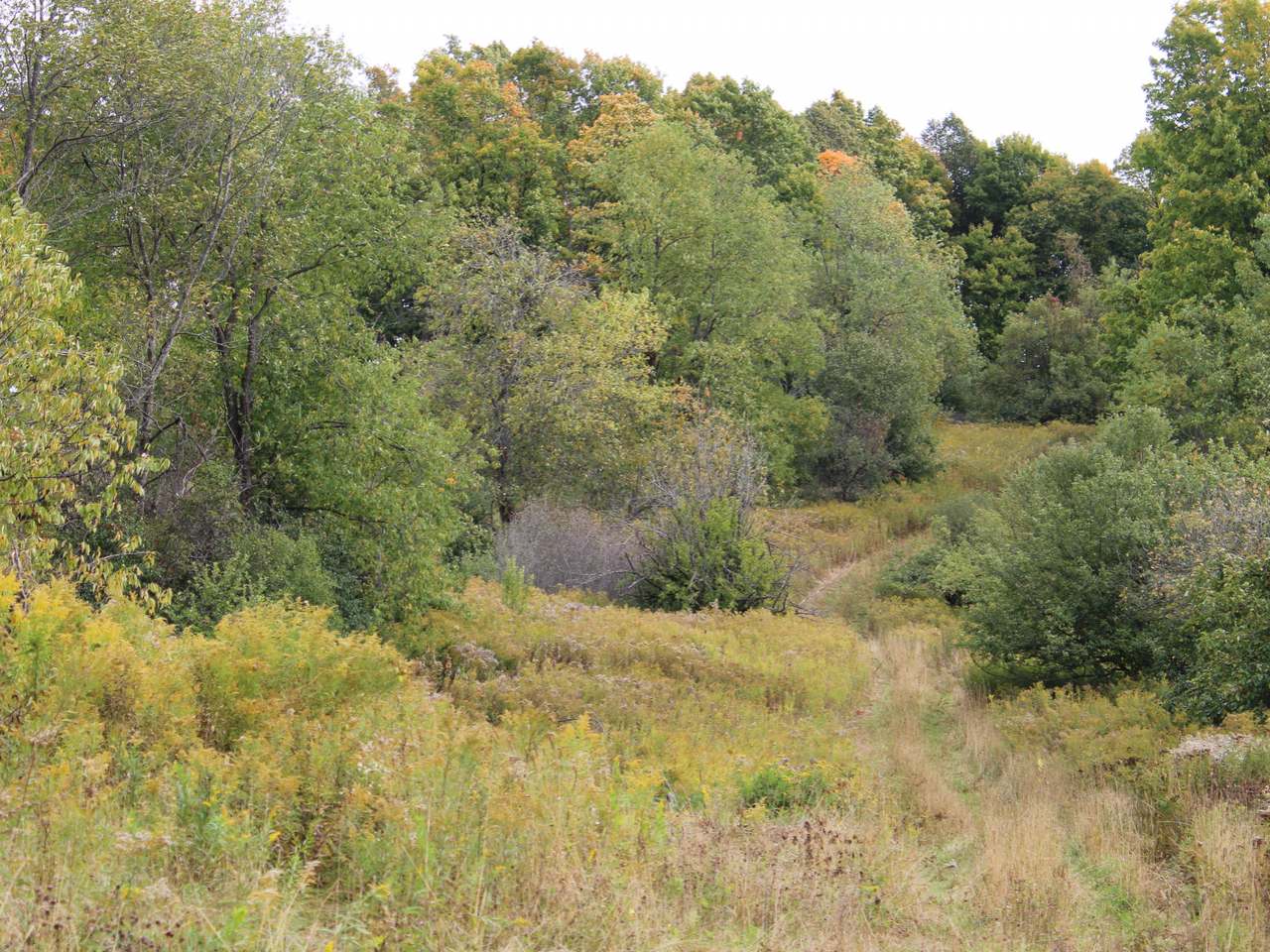 N11395 Sunset Road Elcho, WI 54428 - Photo 37 of 38 Gallery Image 37