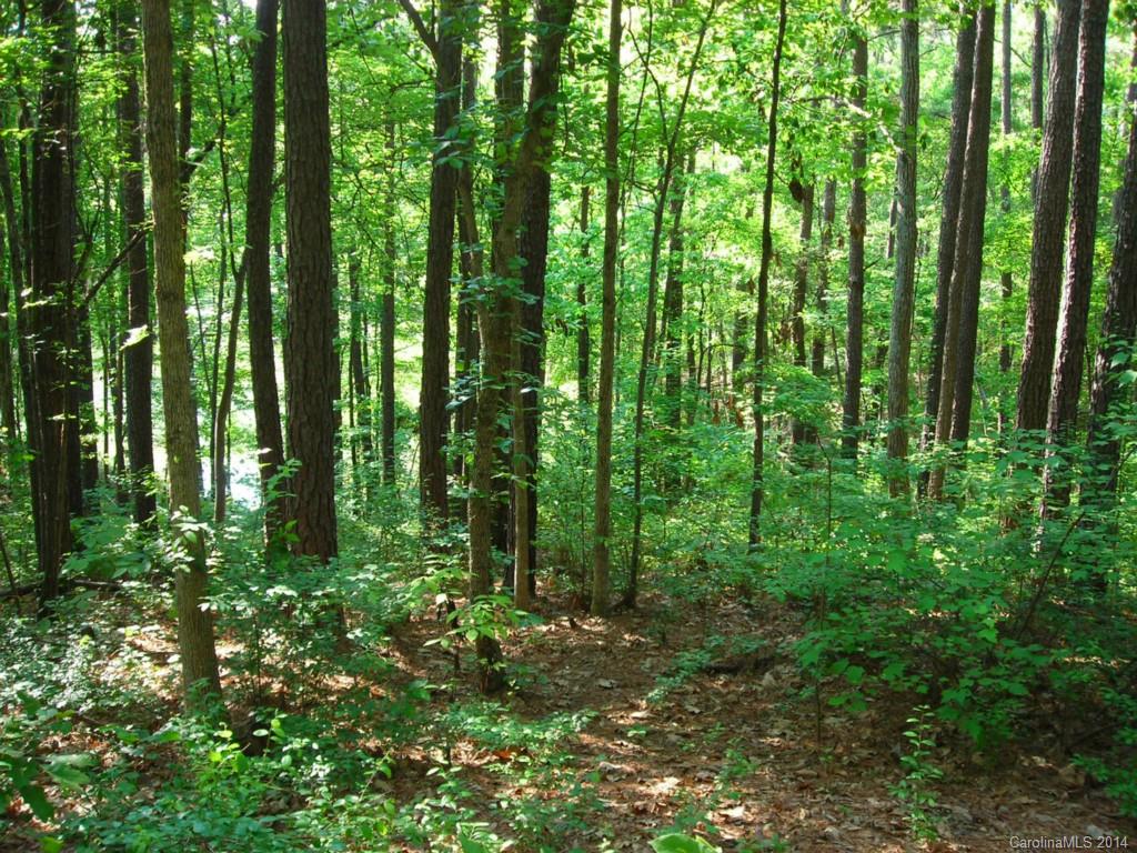 2127 McKee Road Fort Mill, SC 29708 - Photo 3 of 5