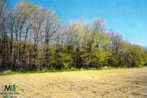 0 Babcock Road Croswell, MI 48422 - Photo 1 of 1 876821.JPG