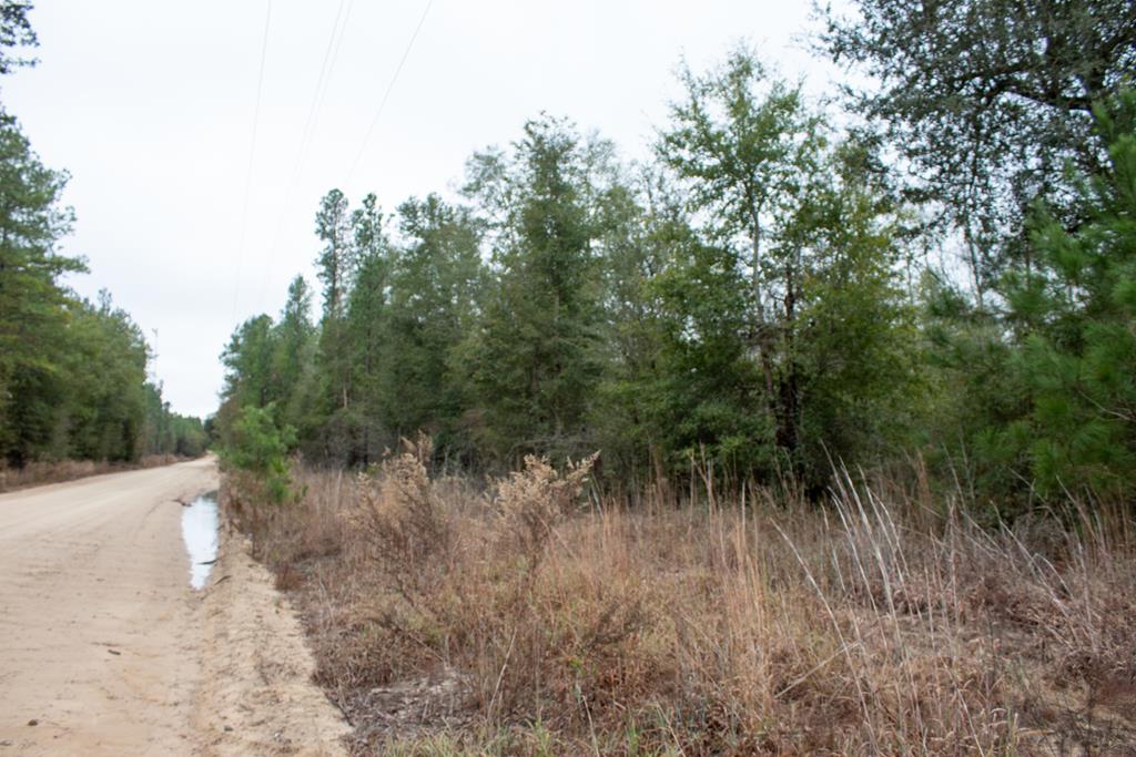 6 Gus Hughes Road Gordon, AL 36343 - Photo 1 of 10 Main View