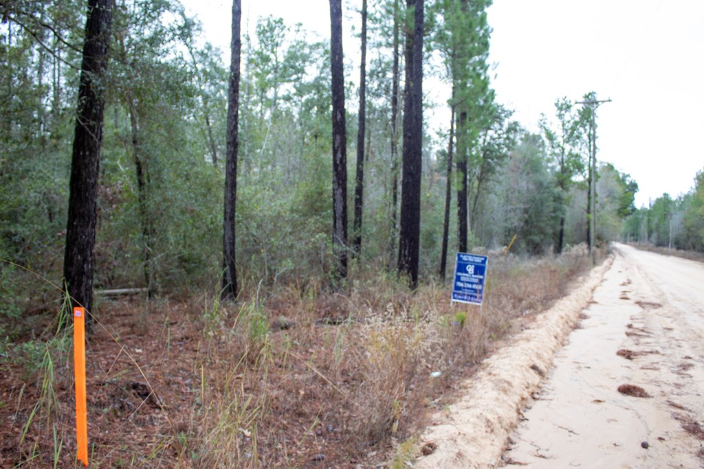 6 Gus Hughes Road Gordon, AL 36343 - Photo 6 of 10