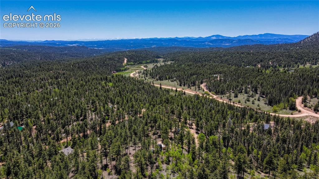2927 Pathfinder Road Florissant, CO 80816 - Photo 36 of 37