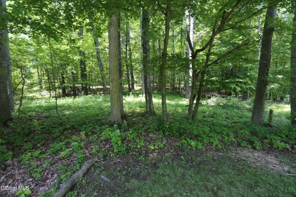 $299,900 | 219 Edison Timmerman Road, Cairo, NY 12413