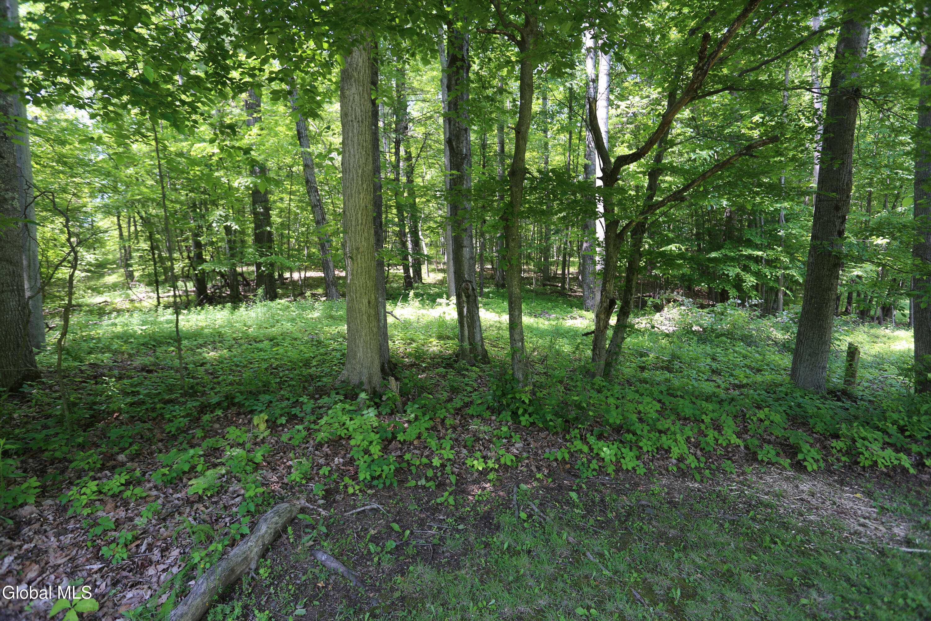 219 Edison Timmerman Road Cairo, NY 12413 - Photo 40 of 51 39