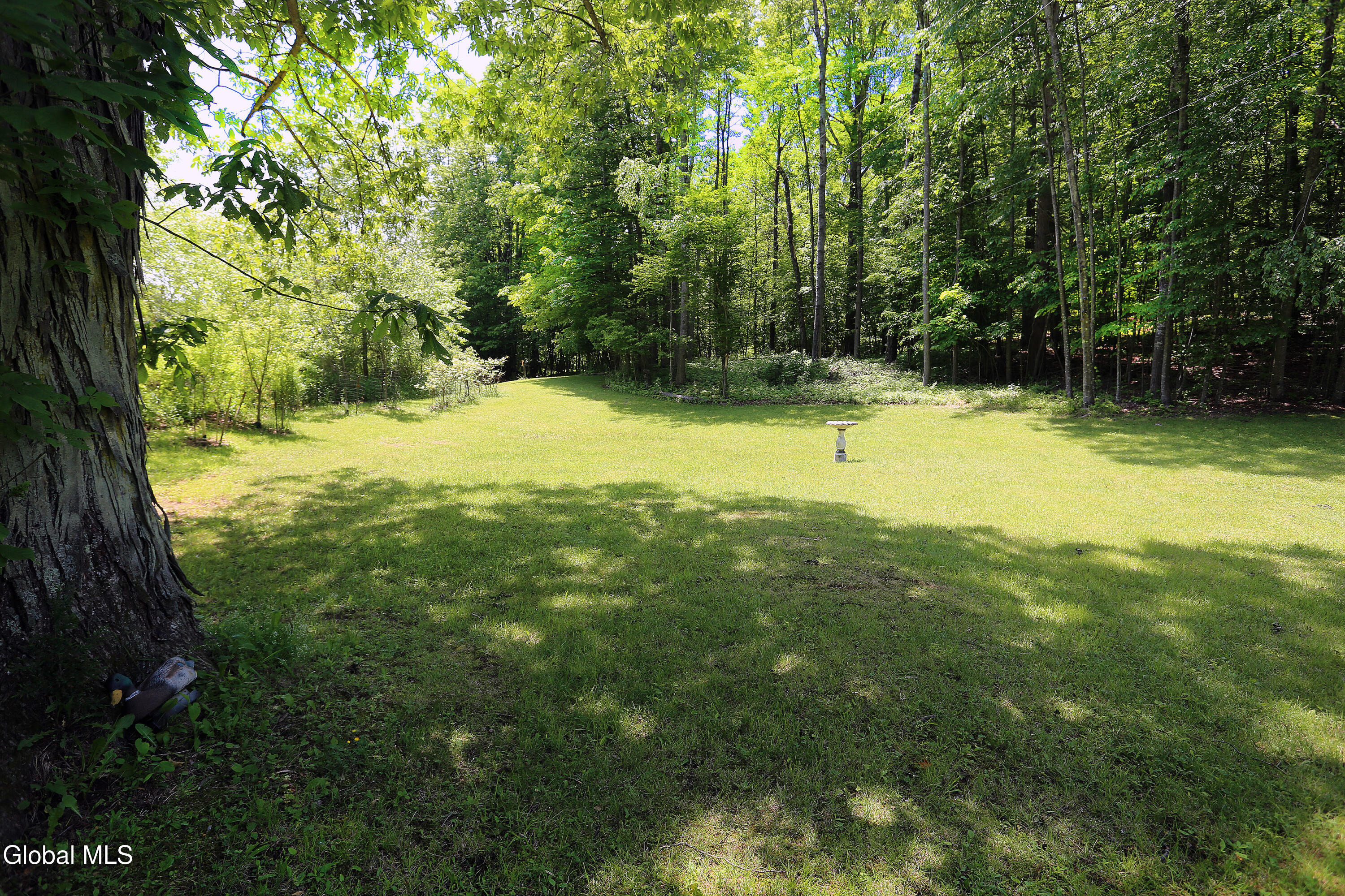 219 Edison Timmerman Road Cairo, NY 12413 - Photo 41 of 51 40