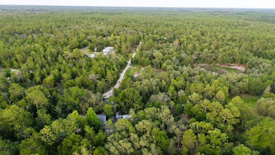 121 Susan Road Hawthorne, FL 32640 - Photo 8 of 20 8