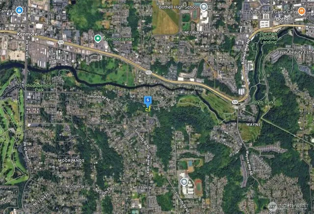 a bird of a building