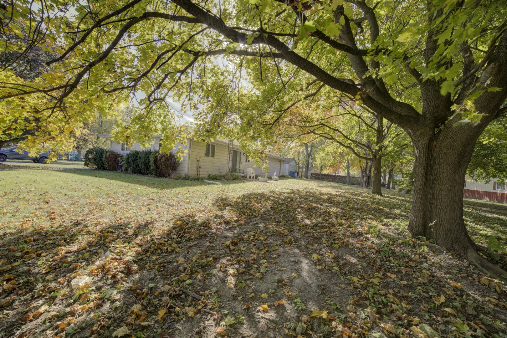 405 Deitrick Street Donovan, IL 60931 - Photo 4 of 29 a view of a yard with a tree