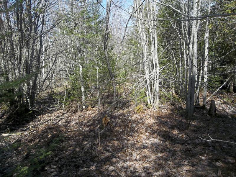 M5-a L7 Sherman Hill Road Robbinston, ME 04671 - Photo 2 of 5 100_9844