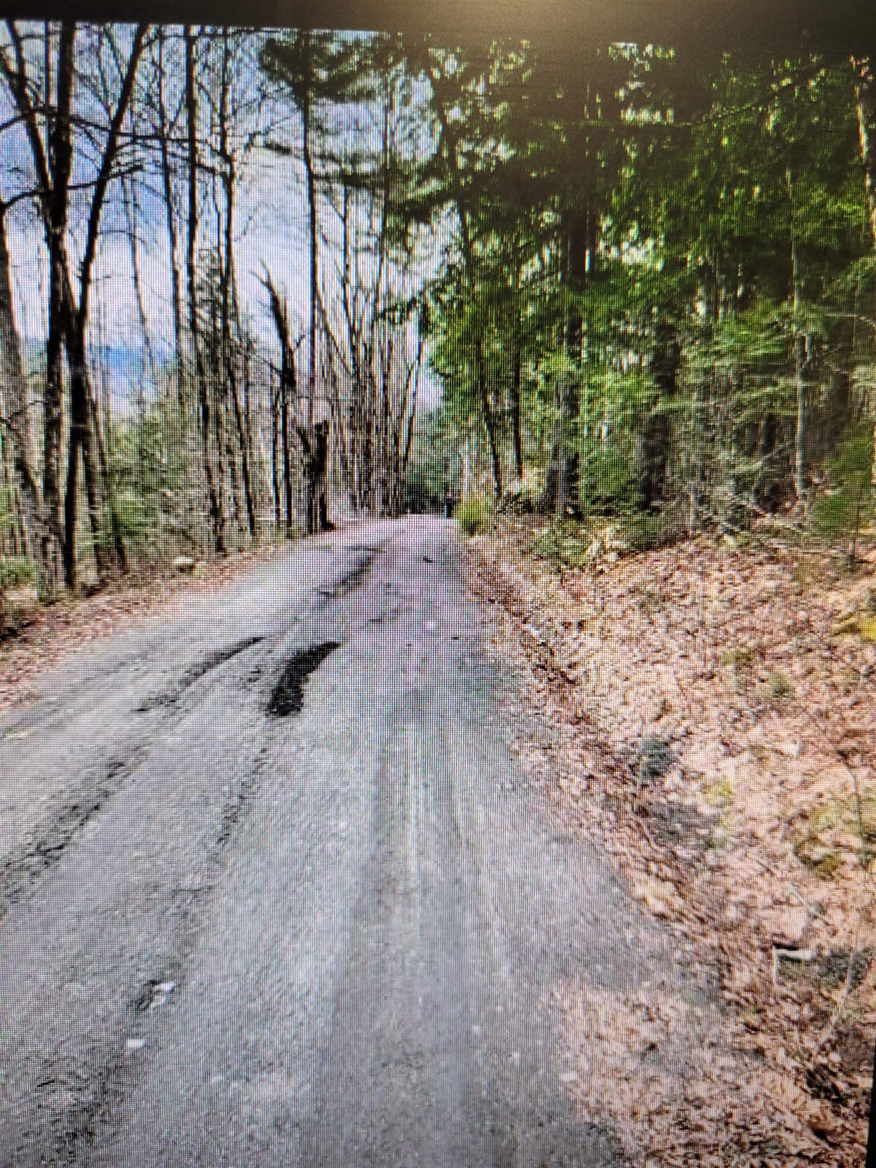 9 Old County Road Warren, NH 03279 - Photo 19 of 24 Gallery Image 19