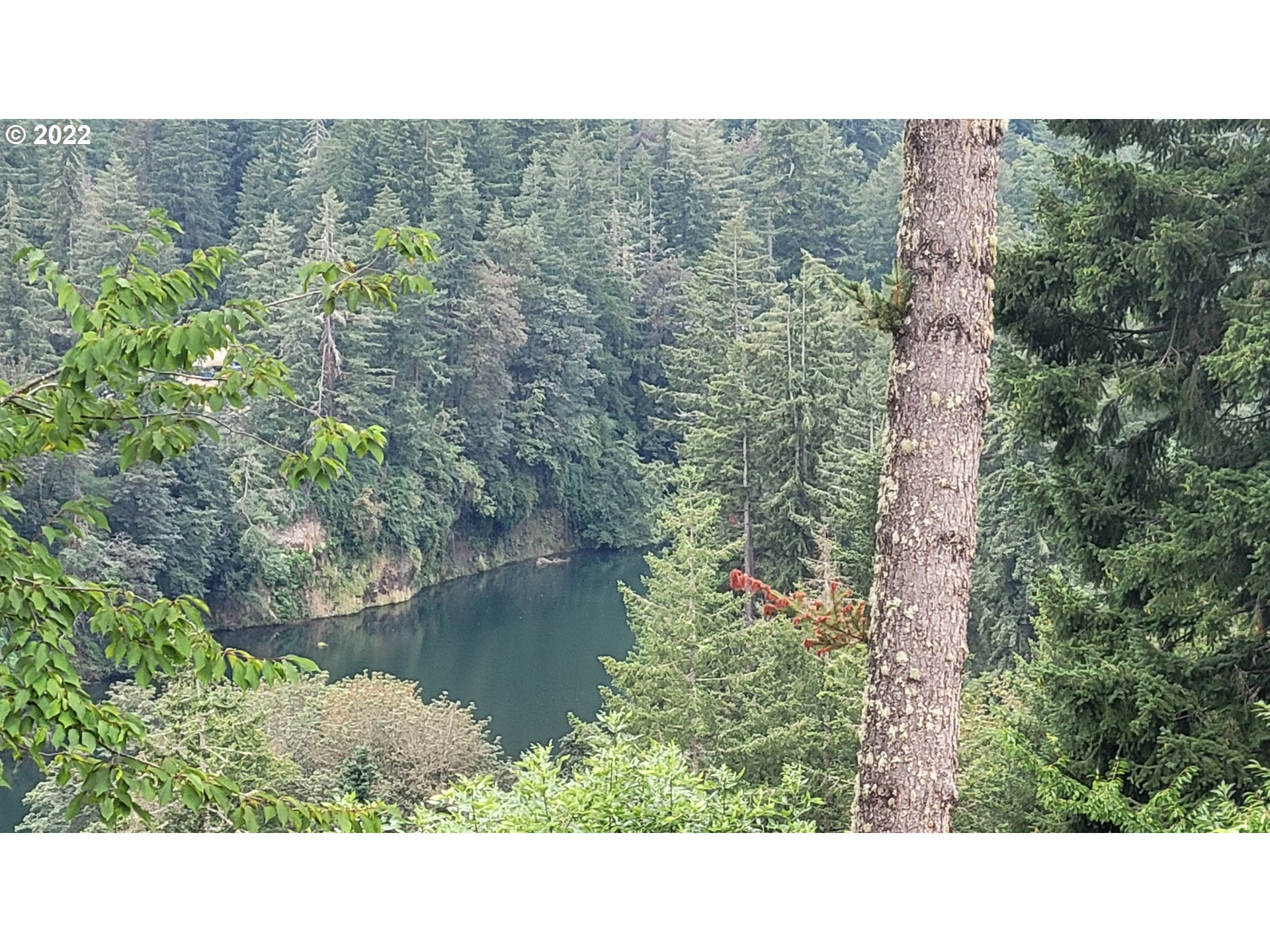 816 Southeast Darrow Road Estacada, OR 97023 - Photo 28 of 29 a black and white photo of a lake