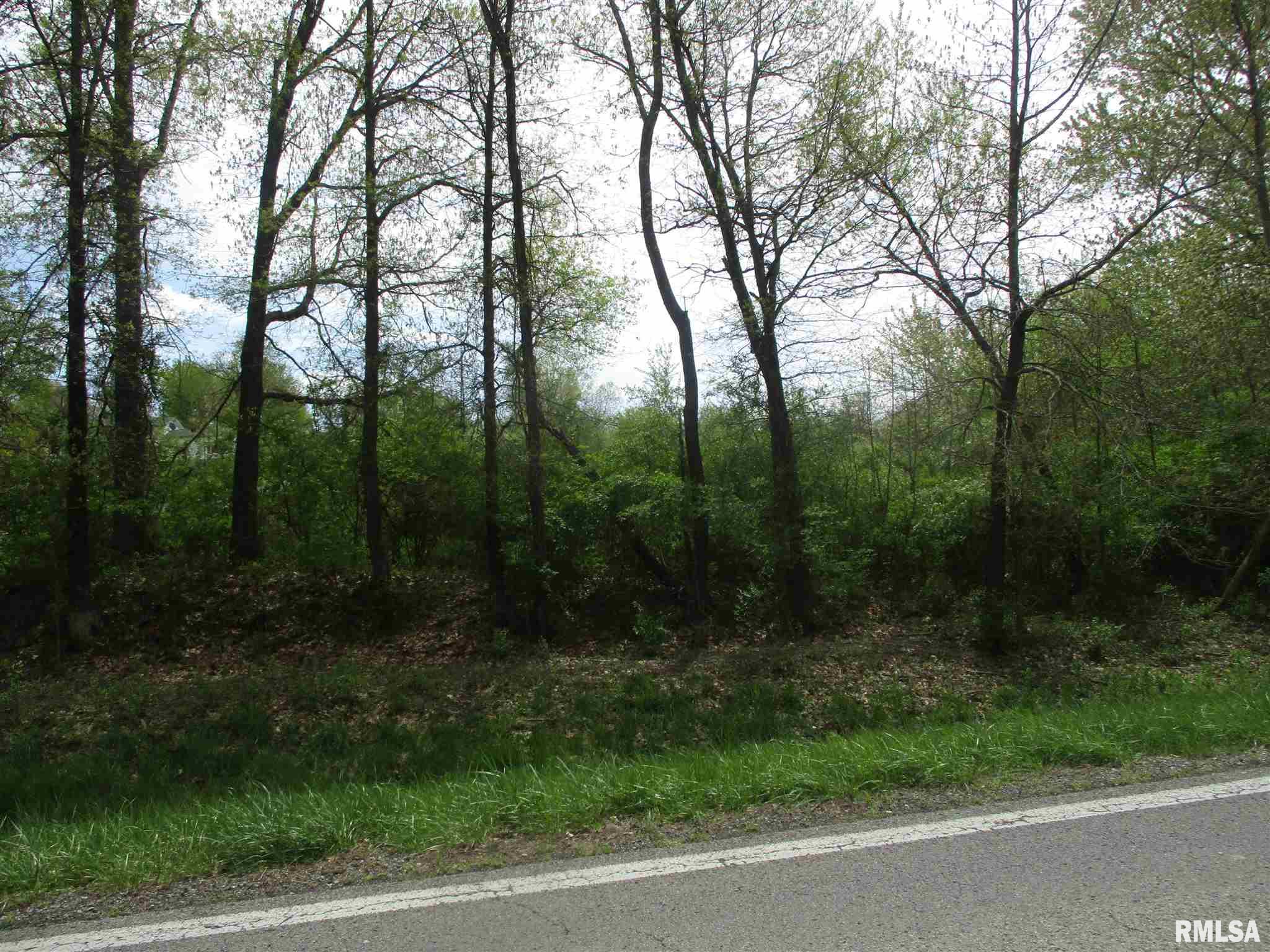 7950 South Rend City Road Sesser, IL 62884 - Photo 2 of 4