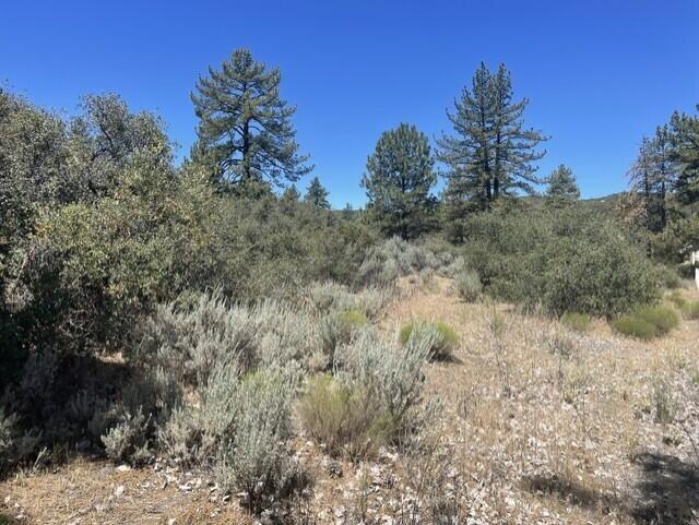 0 Devils Ladder Road Mountain Center, CA 92561 - Photo 6 of 10 Rothe lot.4