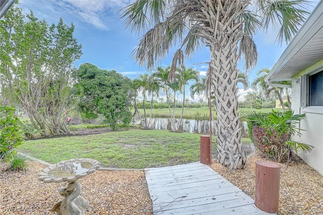 a view of a yard with plants and trees