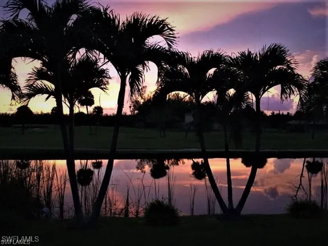 a view of swimming pool and trees