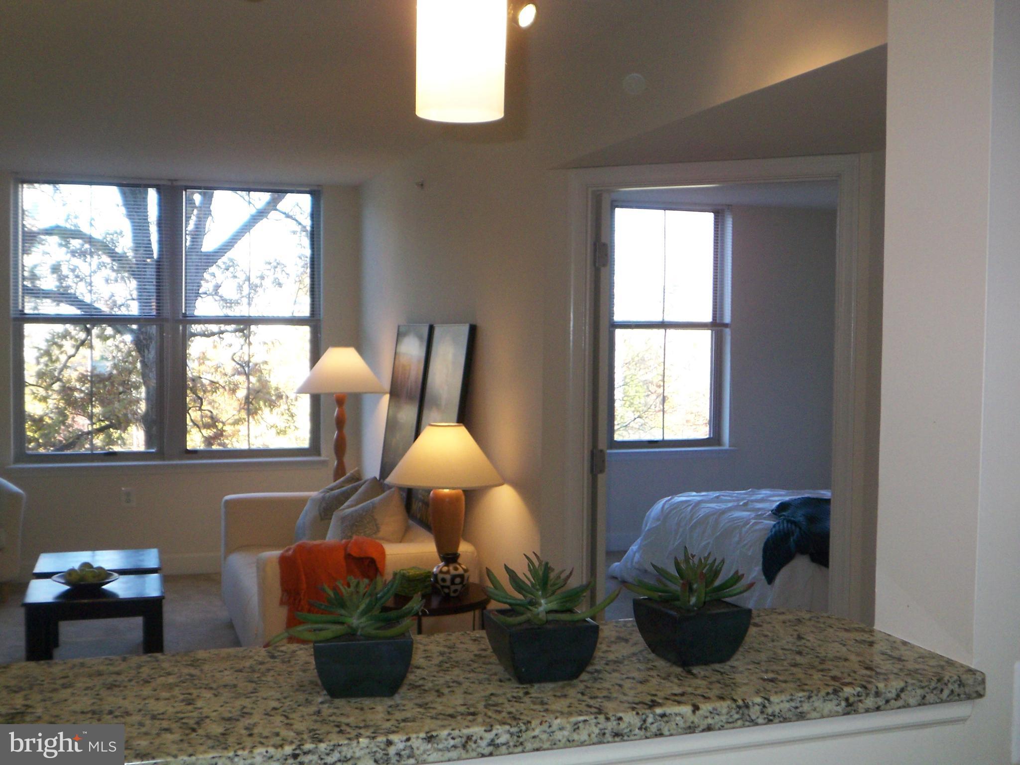 11800 Sunset Hills Road, Unit 608 Reston, VA 20190 - Photo 8 of 15 a room with a potted plant and a potted plant