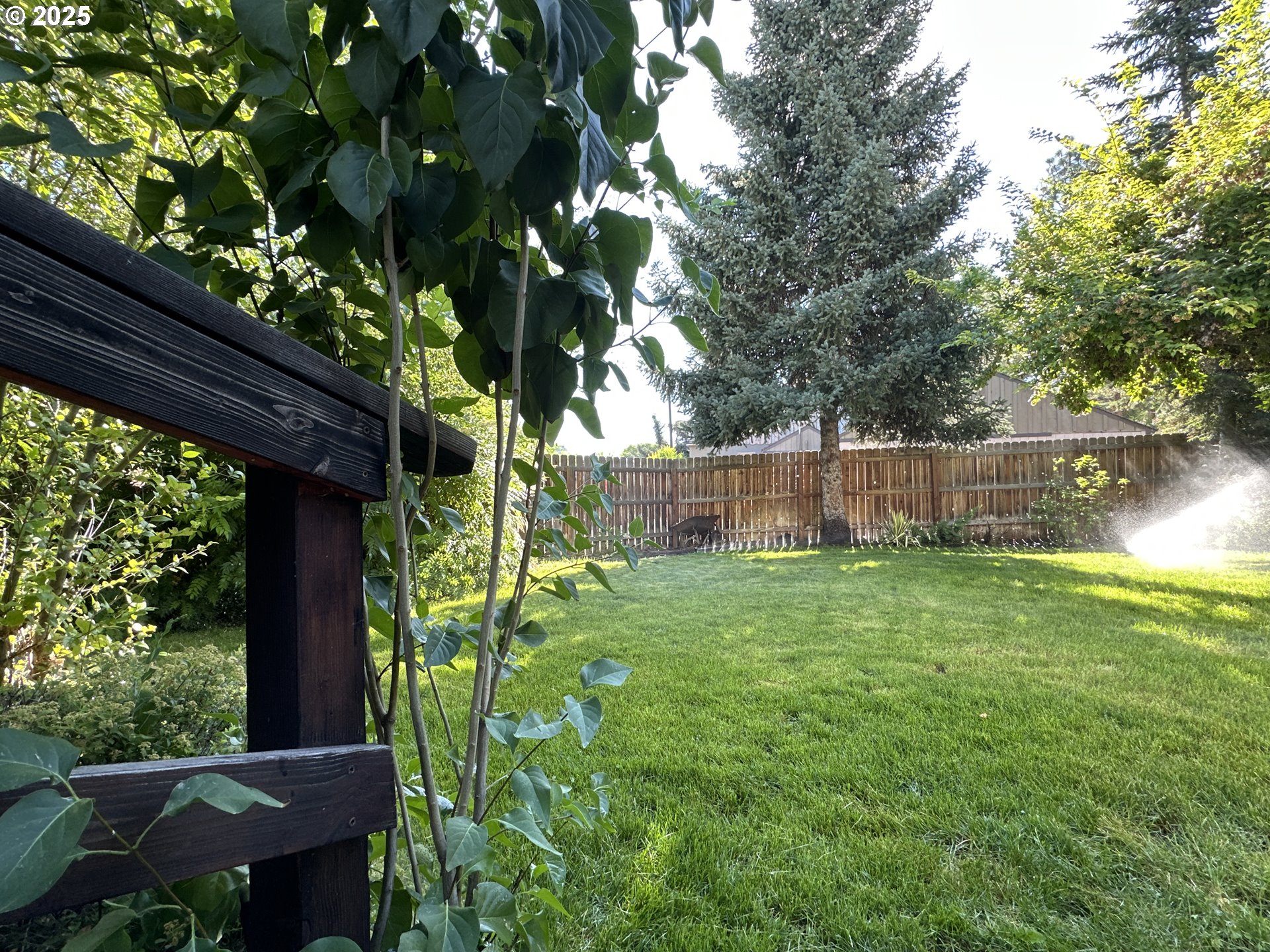 748 East Main Street John Day, OR 97845 - Photo 6 of 46