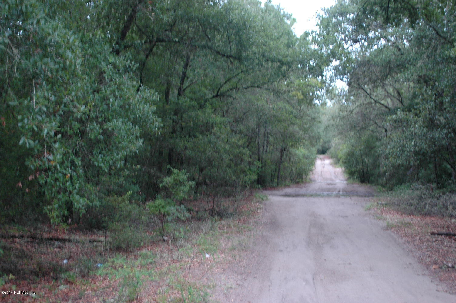 0 Rookery Road Keystone Heights, FL 32656 - Photo 2 of 5 Wildlife Sanctuary