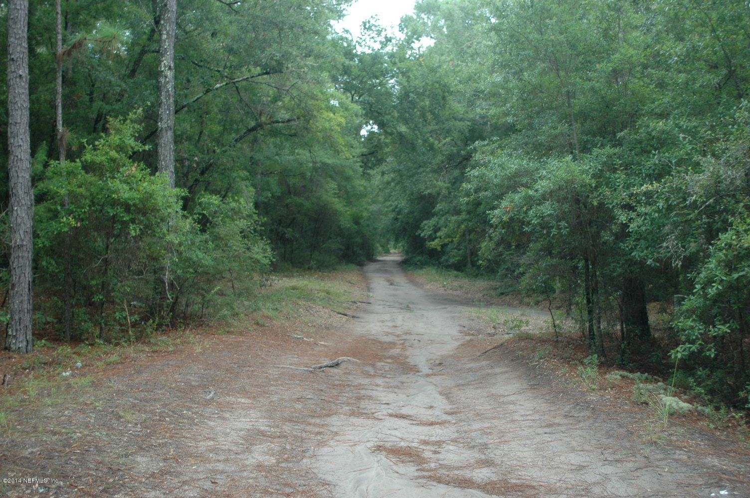 0 Rookery Road Keystone Heights, FL 32656 - Photo 3 of 5 Natural Beauty
