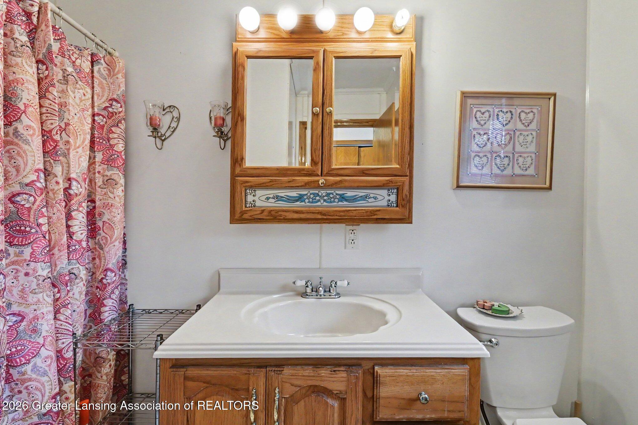 839 Riley Drive Quincy, MI 49082 - Photo 12 of 31 Bathroom 2