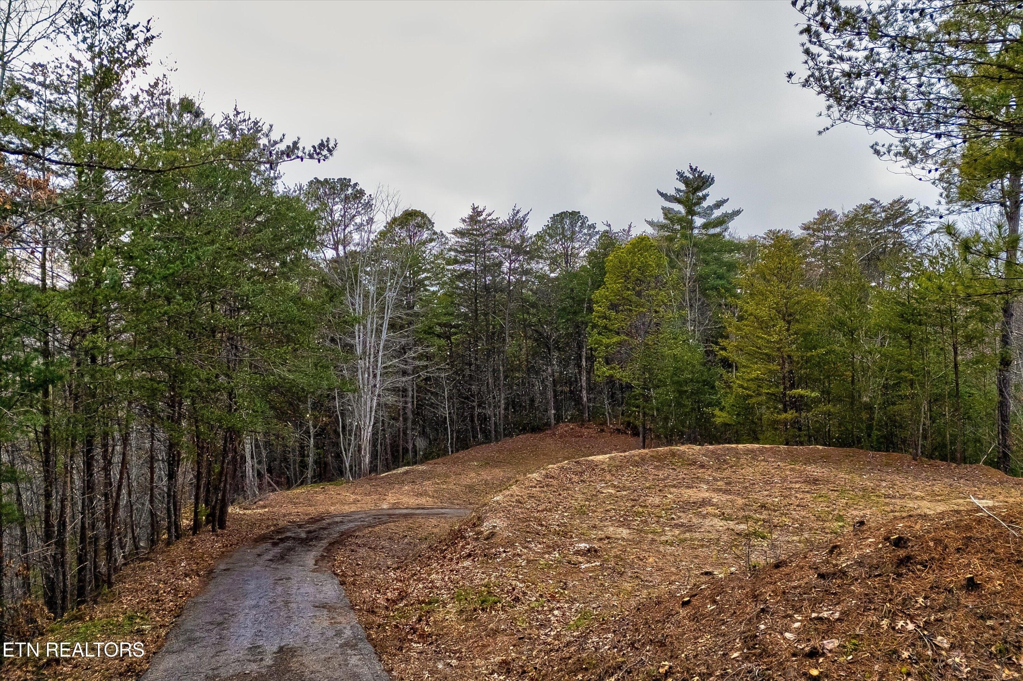 0 South Clear Frk Road Sevierville, TN 37862 - Photo 12 of 30 Gallery Image 12