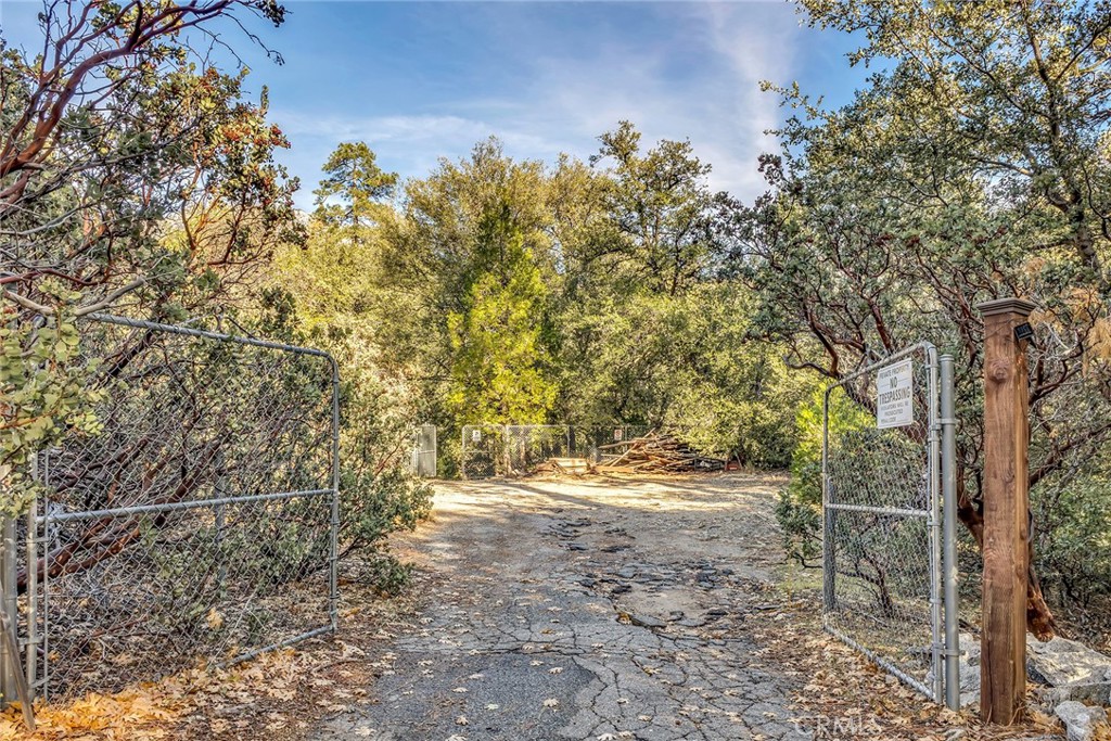 53580 Jeffery Pine Road Idyllwild, CA 92549 - Photo 53 of 61