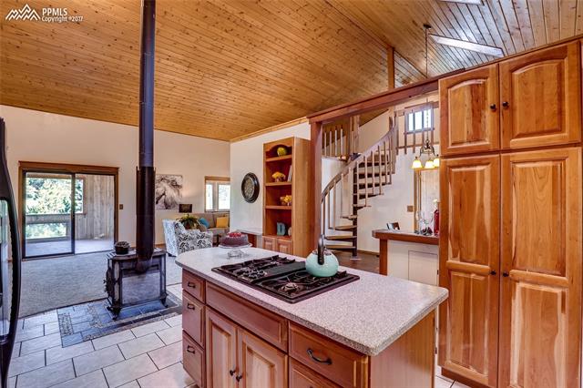 1306 Twin Rocks Road Florissant, CO 80816 - Photo 15 of 36