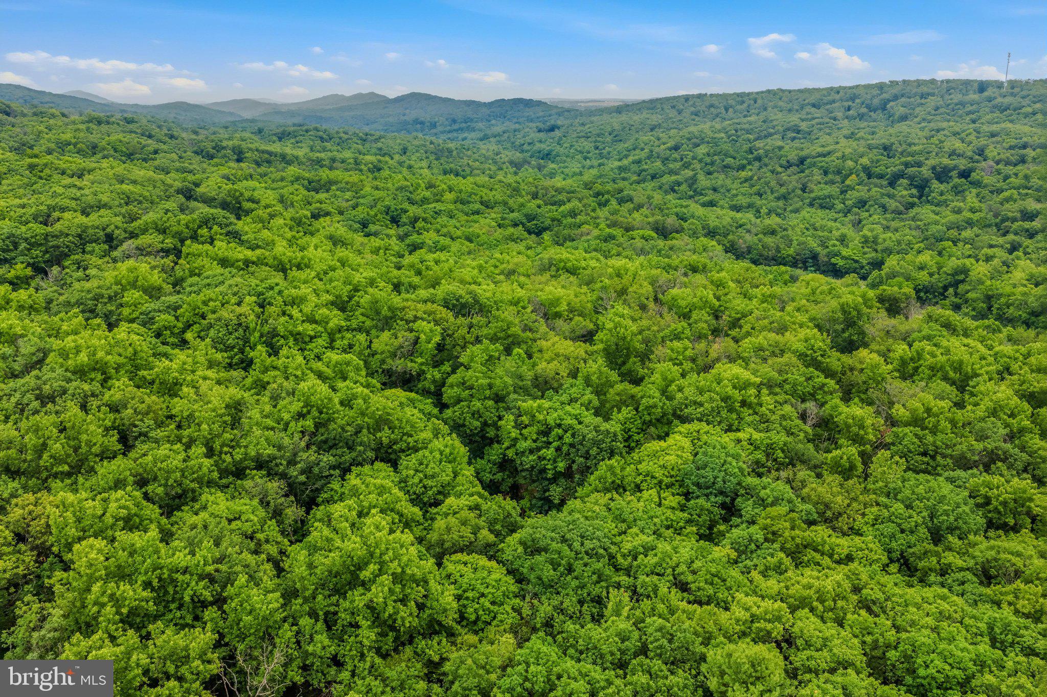 221 Mountainside Road Berkeley Springs, WV 25411 - Photo 39 of 53 Aerial View