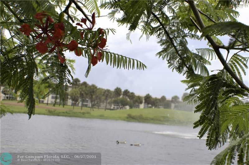 Wynmoor Coconut Creek, FL 33066 - Photo 26 of 35