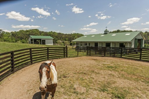 9130 Curtis Road Strawberry Plains, TN 37871 - Photo 23 of 30 Additional Photo