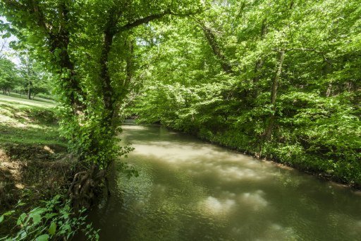 9130 Curtis Road Strawberry Plains, TN 37871 - Photo 27 of 30 Additional Photo