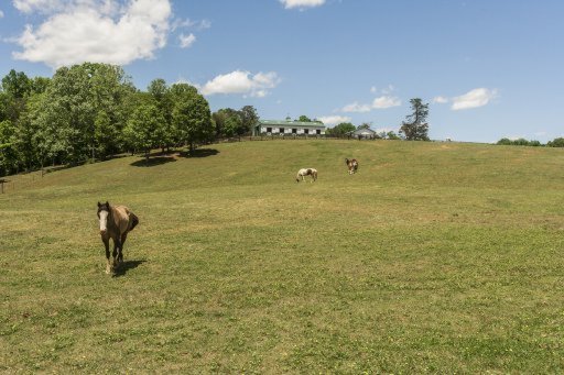 9130 Curtis Road Strawberry Plains, TN 37871 - Photo 28 of 30 Additional Photo