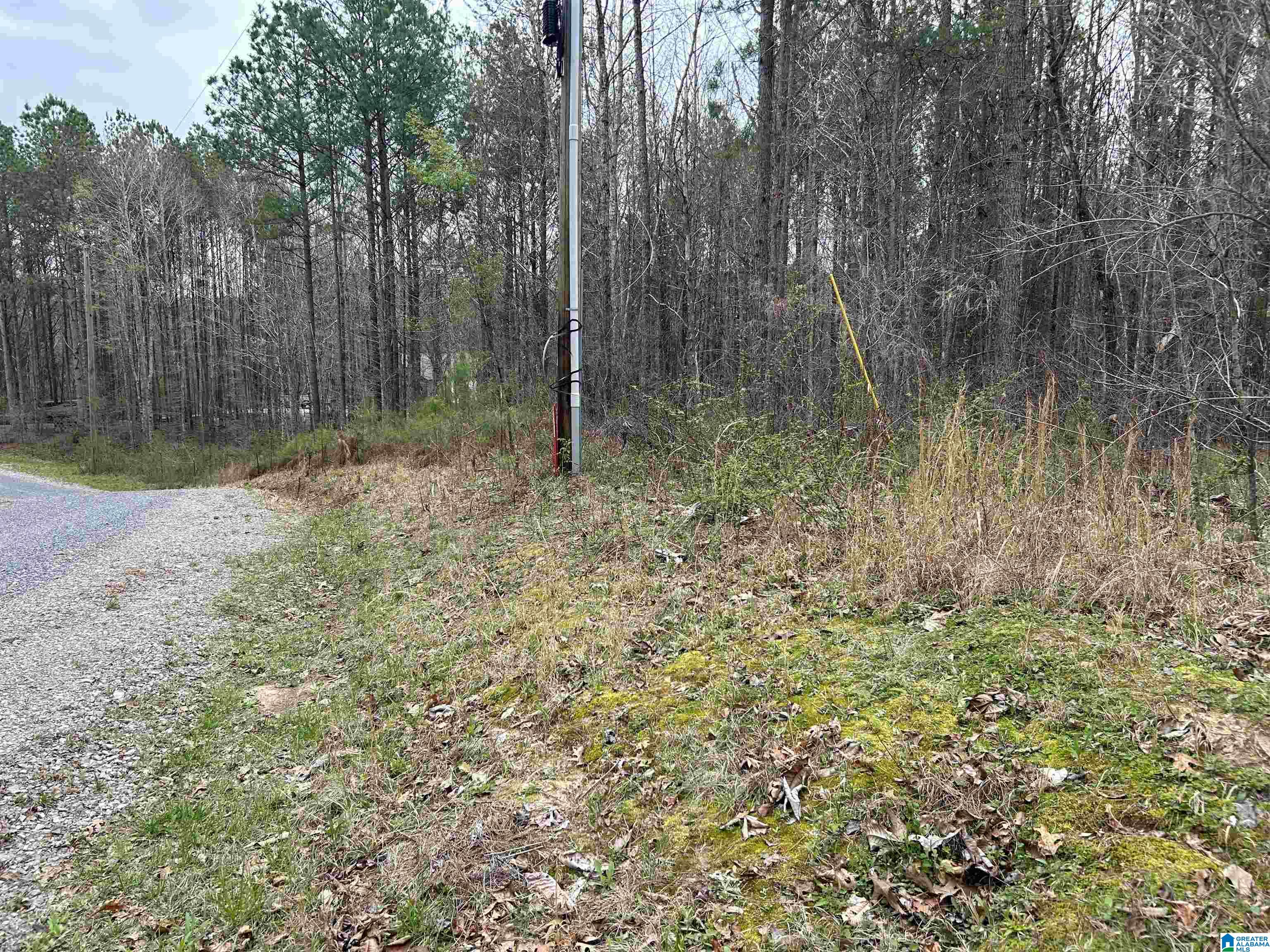 Lot 16 Turkey Bend Drive, Unit 16 Addison, AL 35540 - Photo 12 of 19