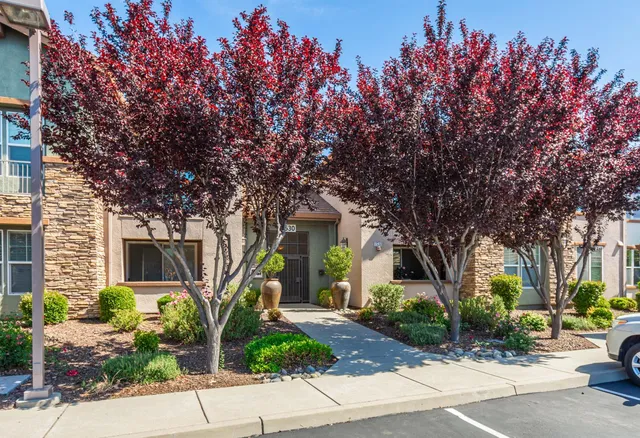 a front view of a house with a garden