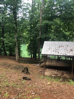 468 Straight Branch Road Speedwell, TN 37870 - Photo 12 of 12 IMG_4486