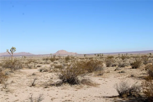 a view of a dry field with trees in background