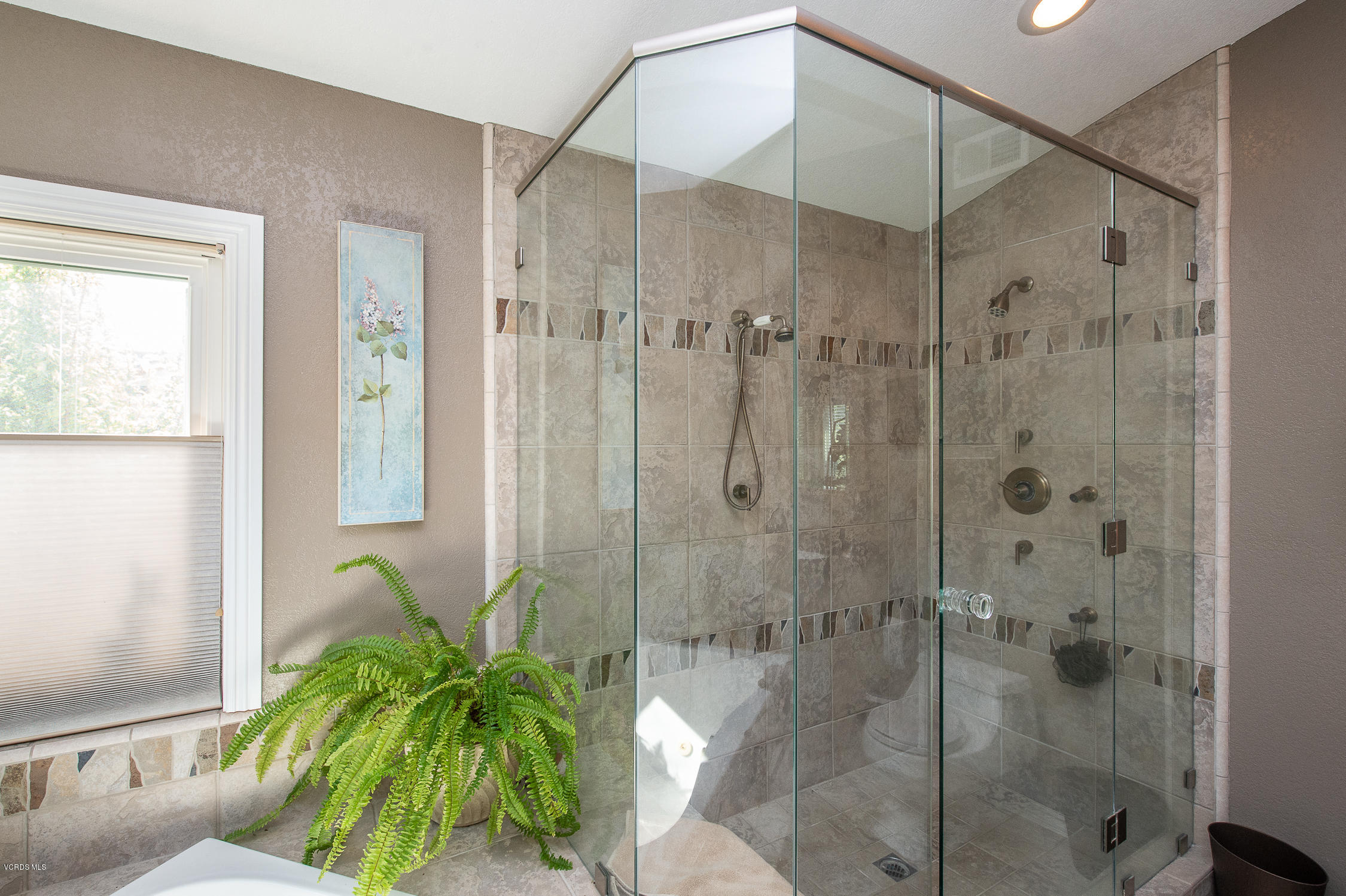 7354 Griffith Lane Moorpark, CA 93021 - Photo 43 of 53 a bathroom with a shower and a plant in it
