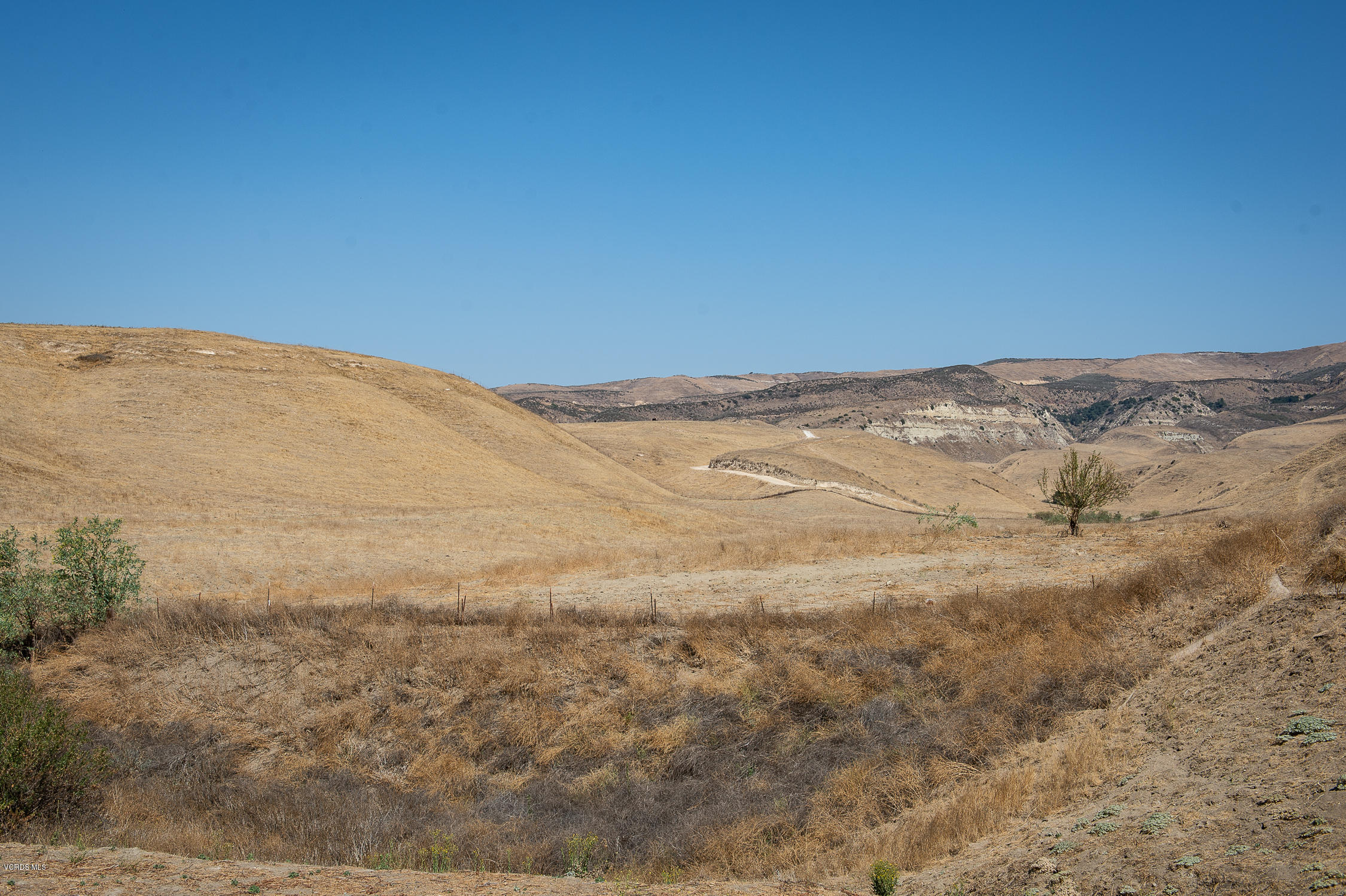 7354 Griffith Lane Moorpark, CA 93021 - Photo 50 of 53 50