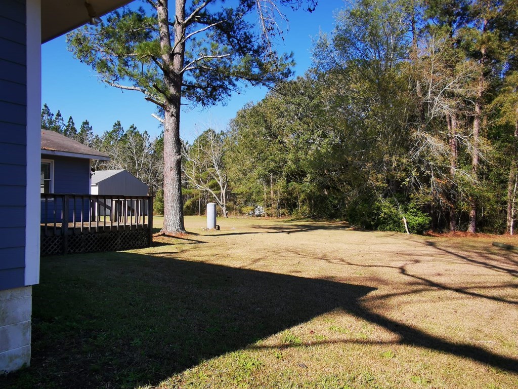 621 Mount Carmel Church Road Quitman, GA 31643 - Photo 11 of 25 Gallery Image 11