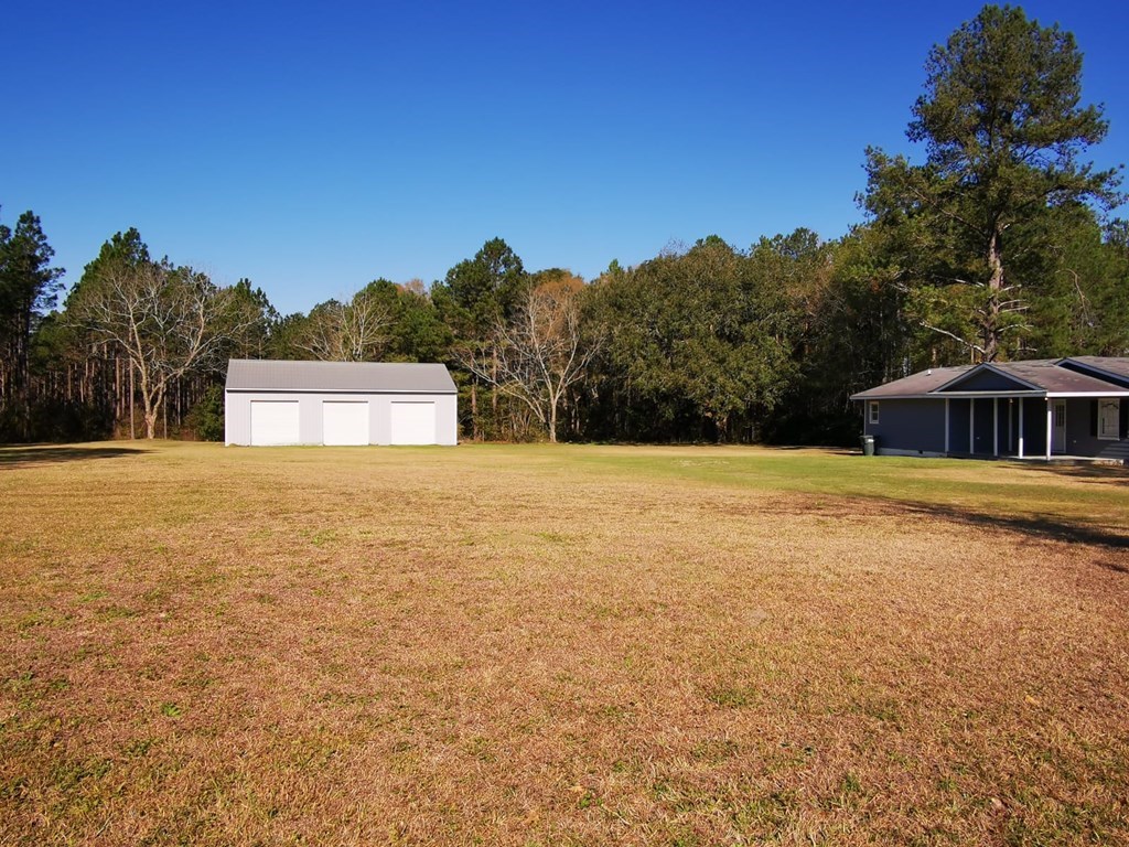 621 Mount Carmel Church Road Quitman, GA 31643 - Photo 12 of 25 Gallery Image 12