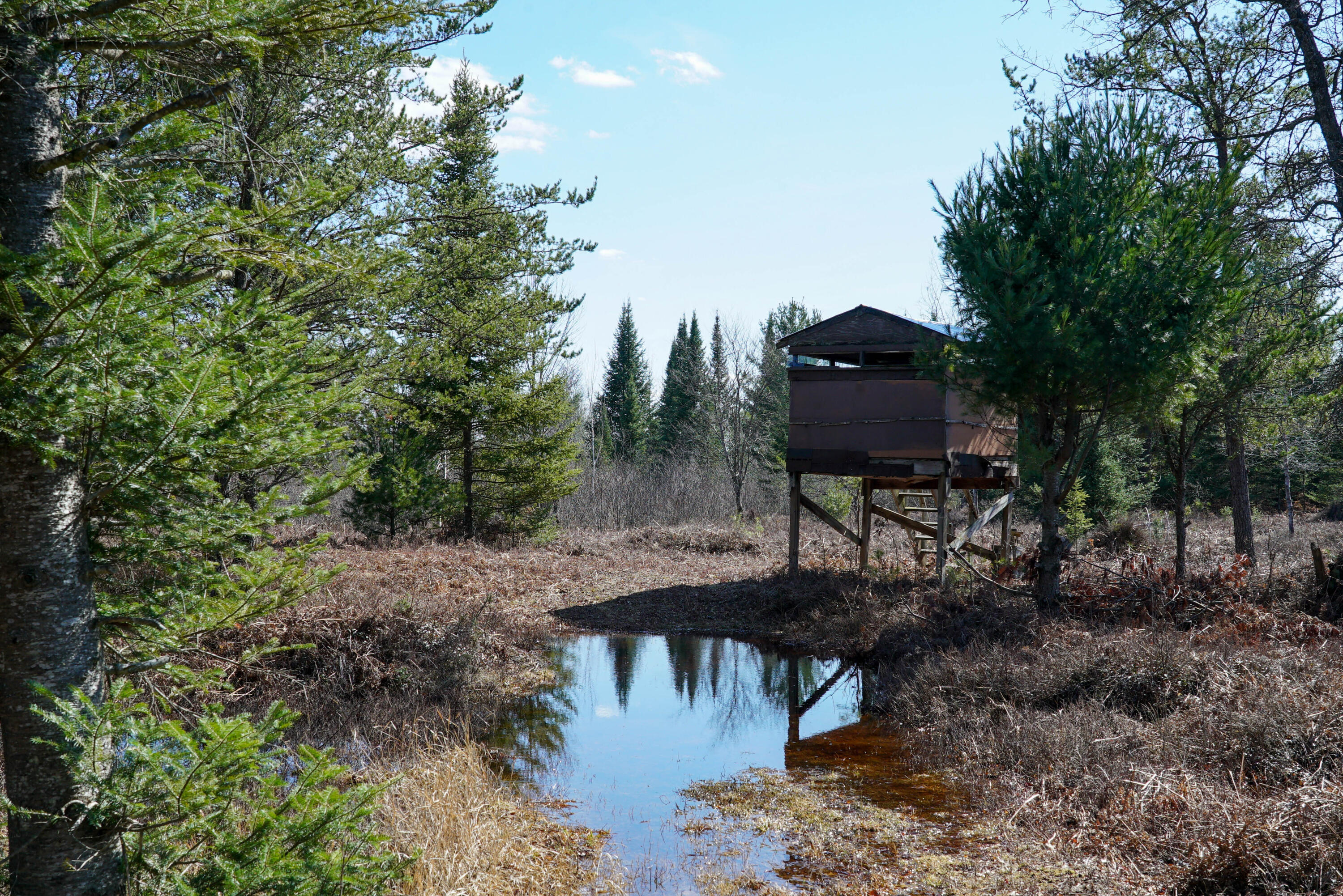 5840 Wildwood Road Alger, MI 48610 - Photo 11 of 25 10