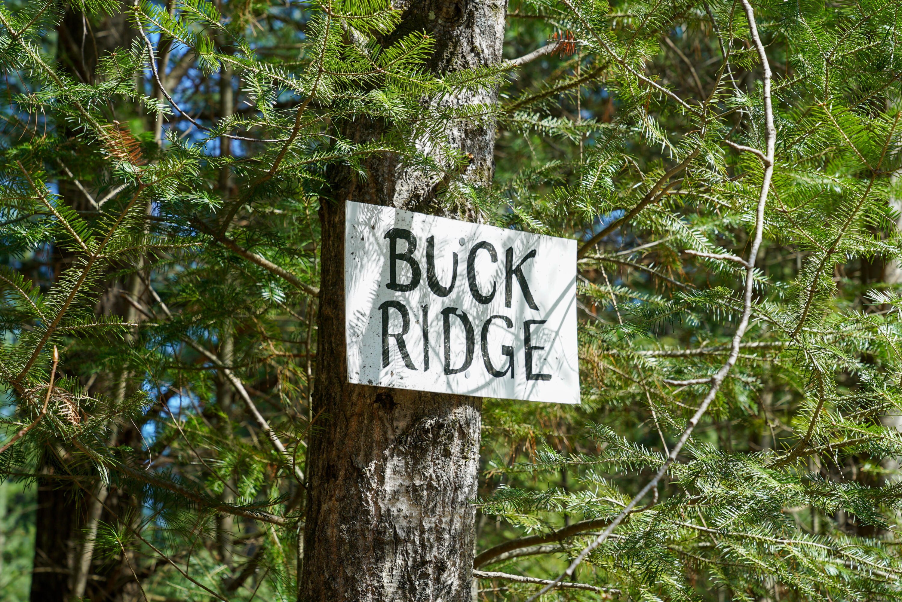 5840 Wildwood Road Alger, MI 48610 - Photo 12 of 25 21