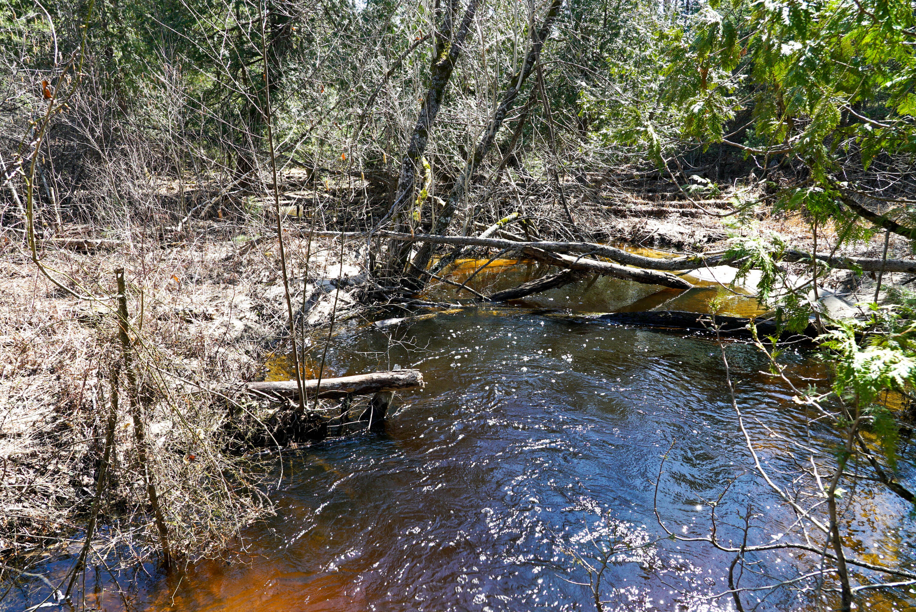 5840 Wildwood Road Alger, MI 48610 - Photo 15 of 25 23