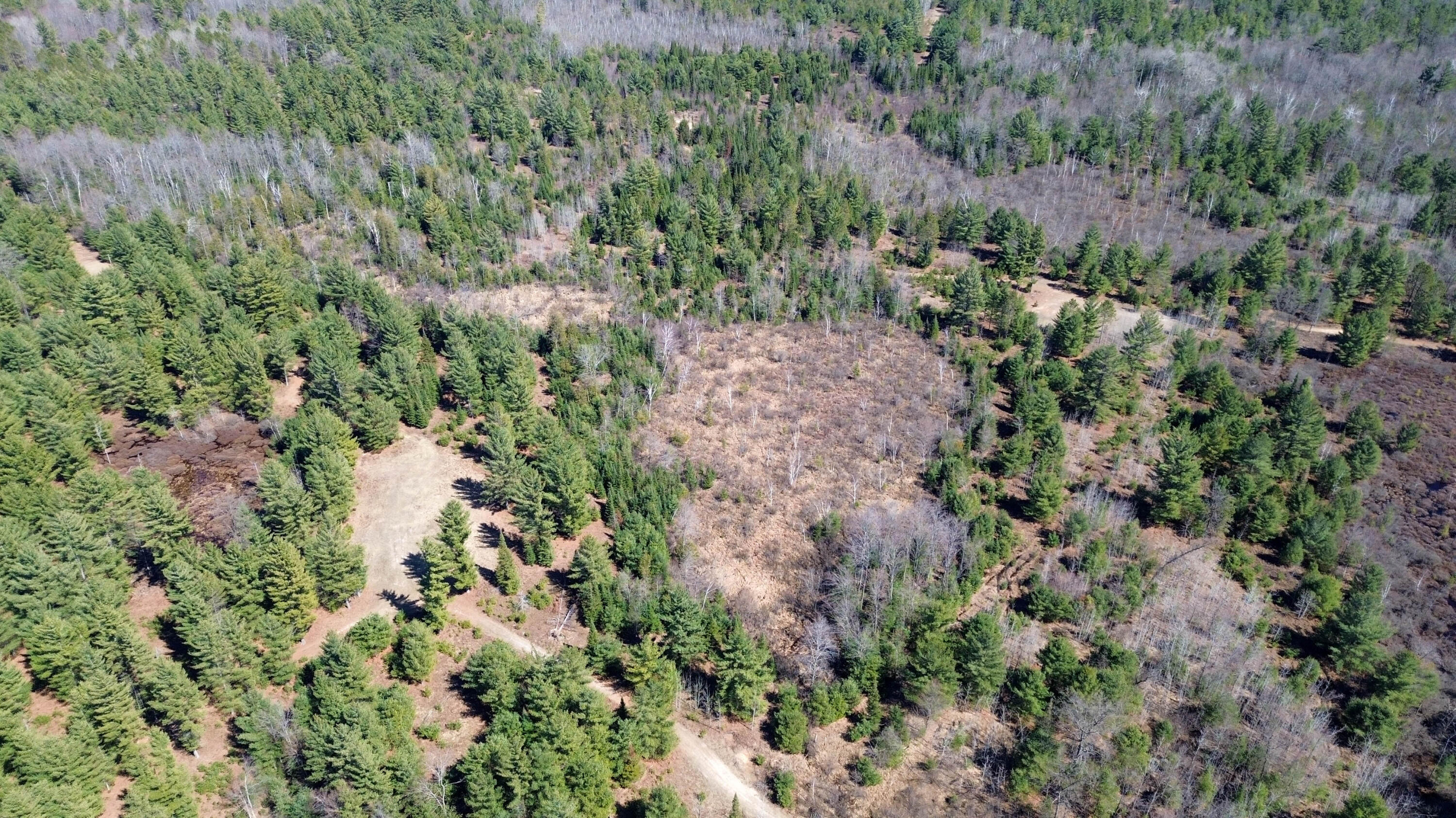 5840 Wildwood Road Alger, MI 48610 - Photo 17 of 25 24