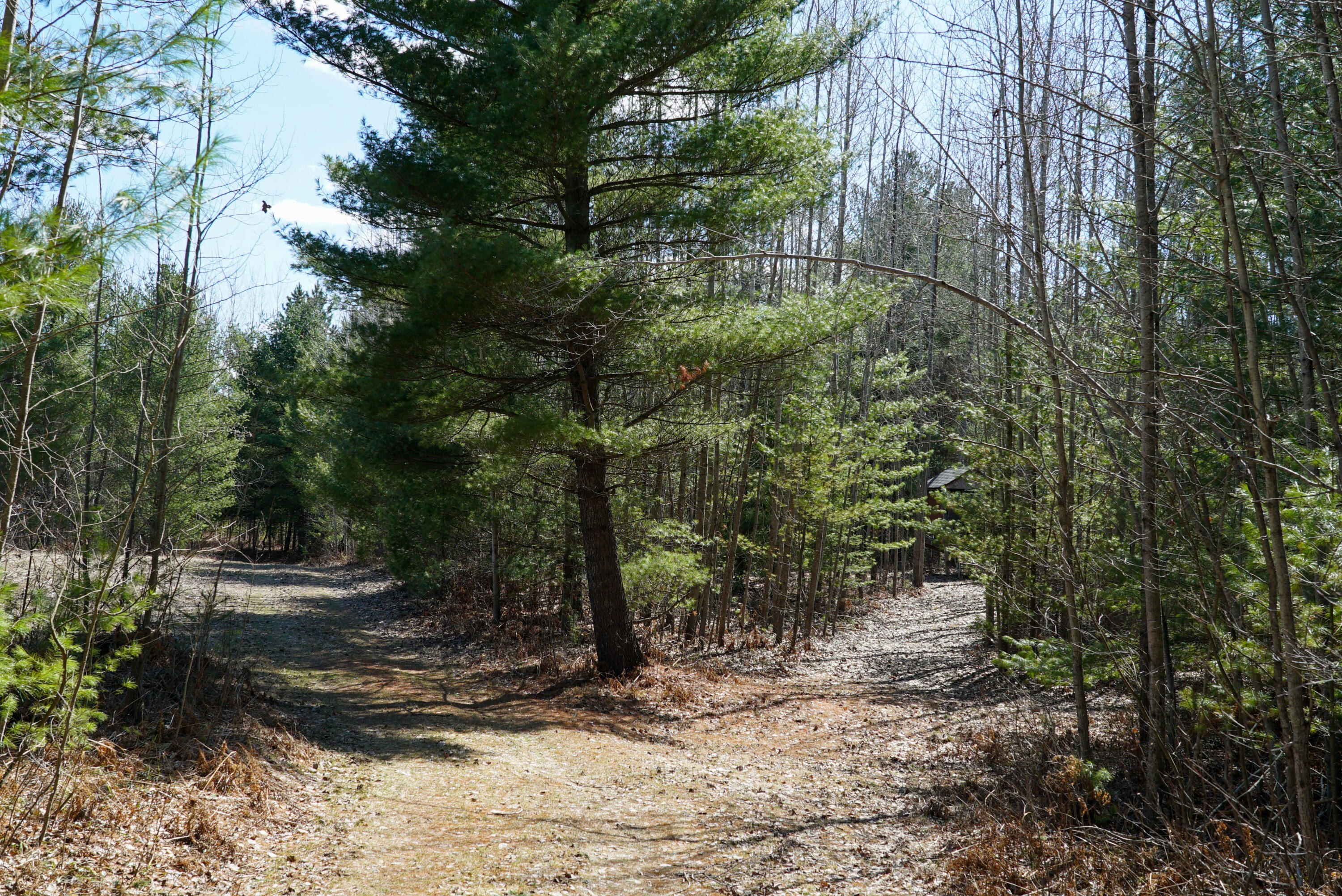 5840 Wildwood Road Alger, MI 48610 - Photo 18 of 25 19